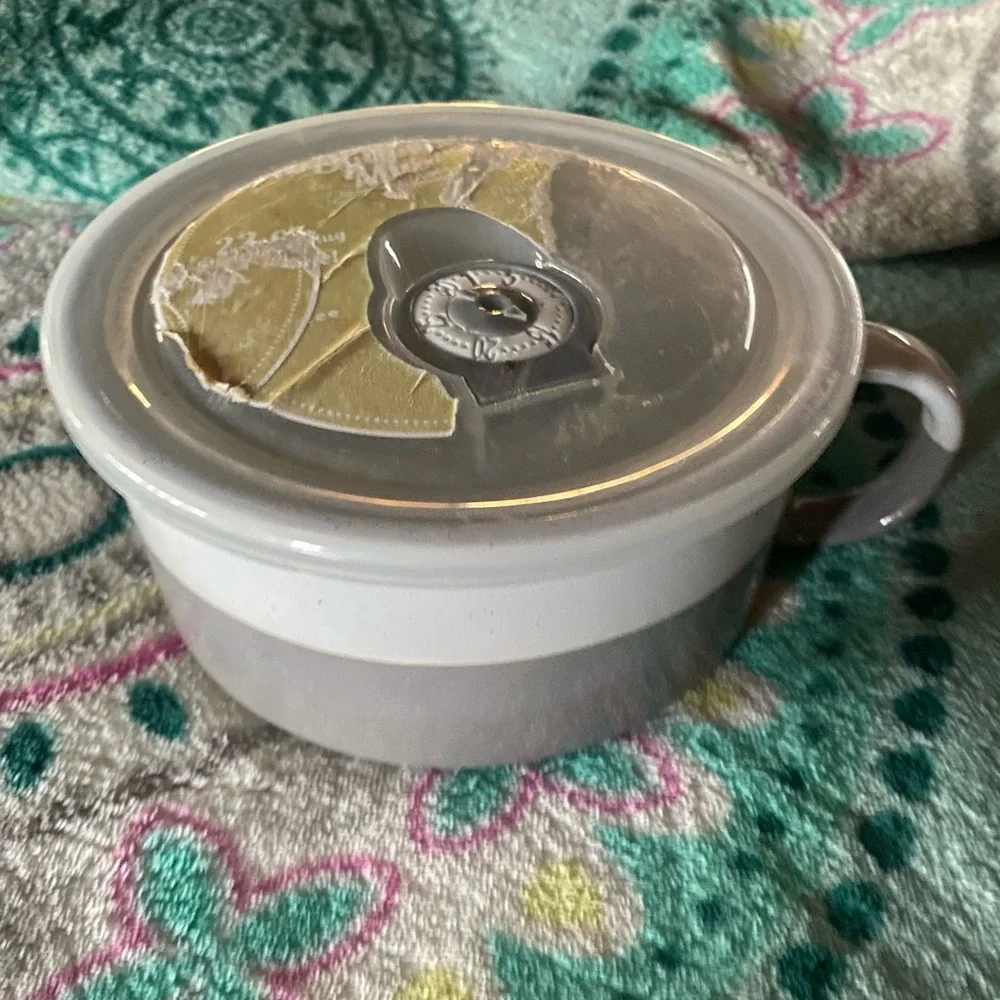 Pier 1 Microwave Safe Dish